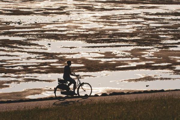 Werelderfgoed 'De Wadden' | 45 km